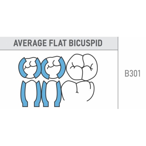 Average Flat Bicuspid