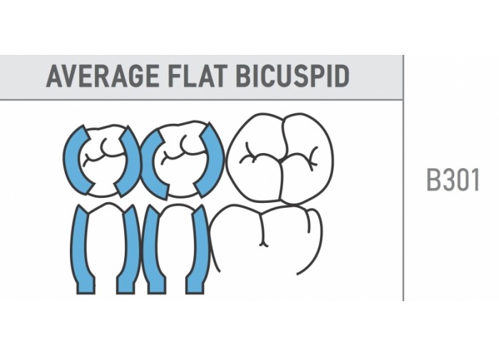 Average Flat Bicuspid 