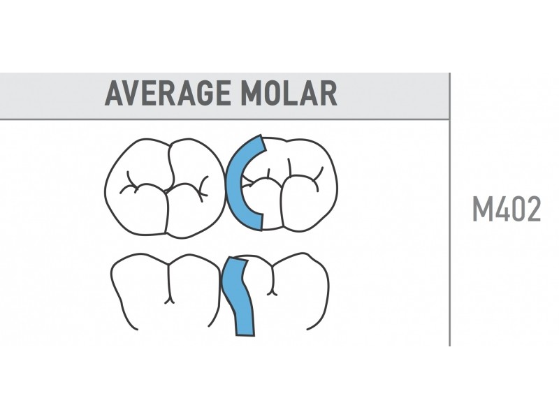 Average Molar 