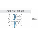 Tall Flat Molar 